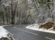 Route sinueuse bordée de forêt enneigée : la chaussée sombre traverse un paysage d’arbres recouverts d’une fine couche de neige, créant un contraste marqué entre l’asphalte humide et les branches blanches. L’atmosphère est calme, hivernale, avec une lumière douce filtrant à travers les troncs.