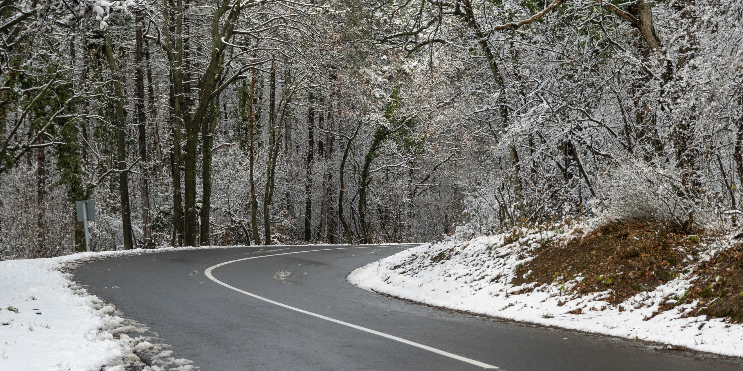 Route sinueuse bordée de forêt enneigée : la chaussée sombre traverse un paysage d’arbres recouverts d’une fine couche de neige, créant un contraste marqué entre l’asphalte humide et les branches blanches. L’atmosphère est calme, hivernale, avec une lumière douce filtrant à travers les troncs.